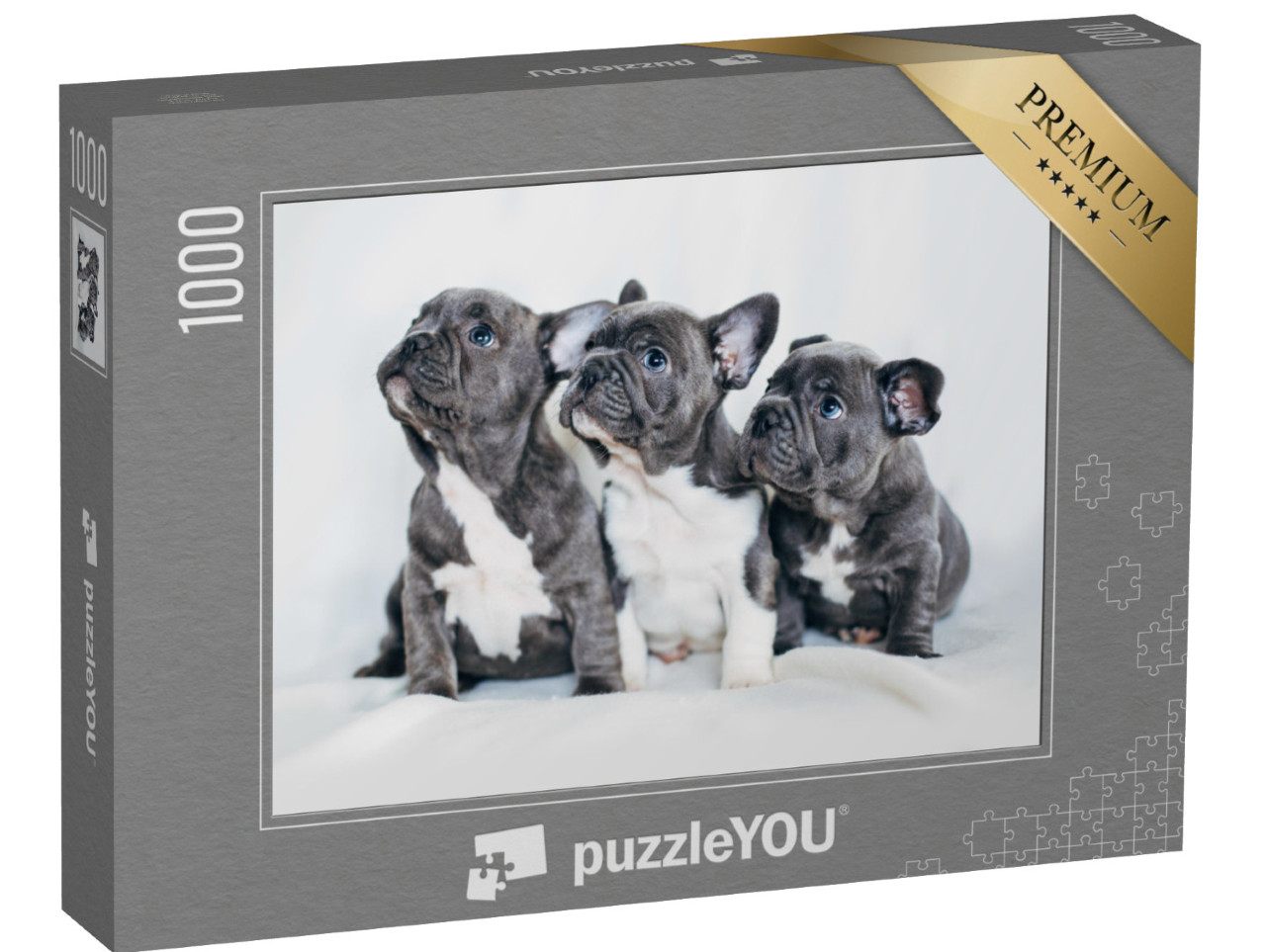 puzzle 1000 dílků „Portrét tří rozkošných štěňat buldočka“