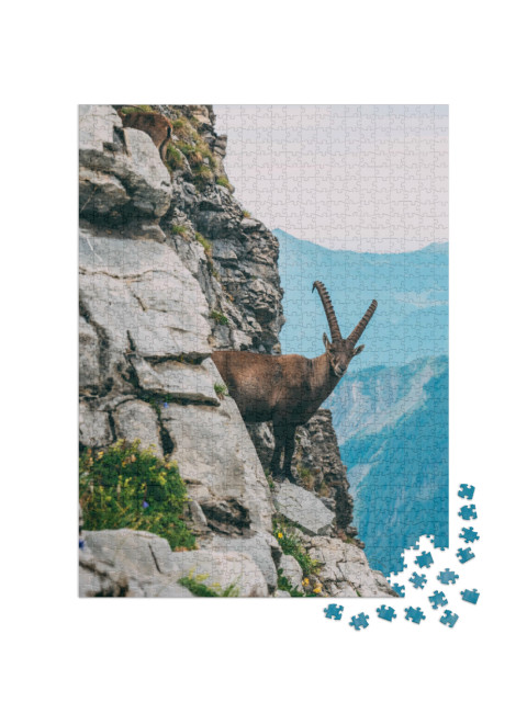 puzzle 1000 dílků „Kozorožec alpský v horské krajině na strmé skále“