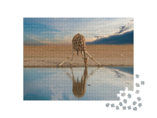 puzzle 1000 dílků „Žirafa pijící u napajedla, Etosha Pan, Namibie“