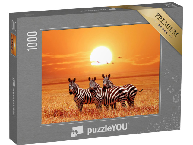 puzzle 1000 dílků „Zebry při západu slunce, Národní park Serengeti“