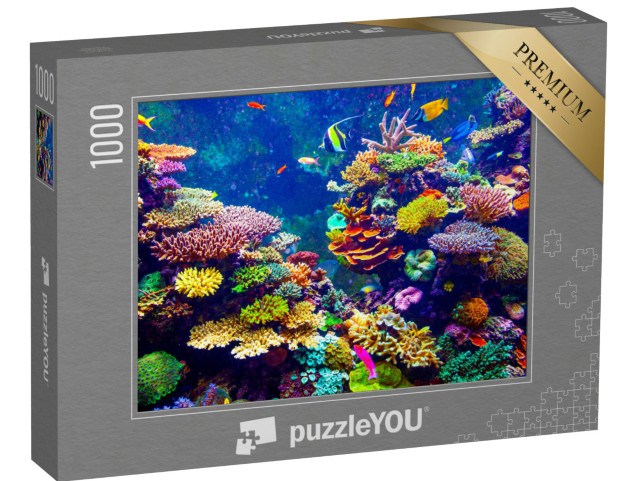 puzzle 1000 dílků „Singapurské akvárium - Korálový útes a tropické ryby na slunci“