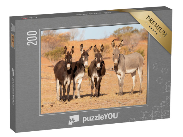 puzzle 200 dílků „Osli v australském vnitrozemí“