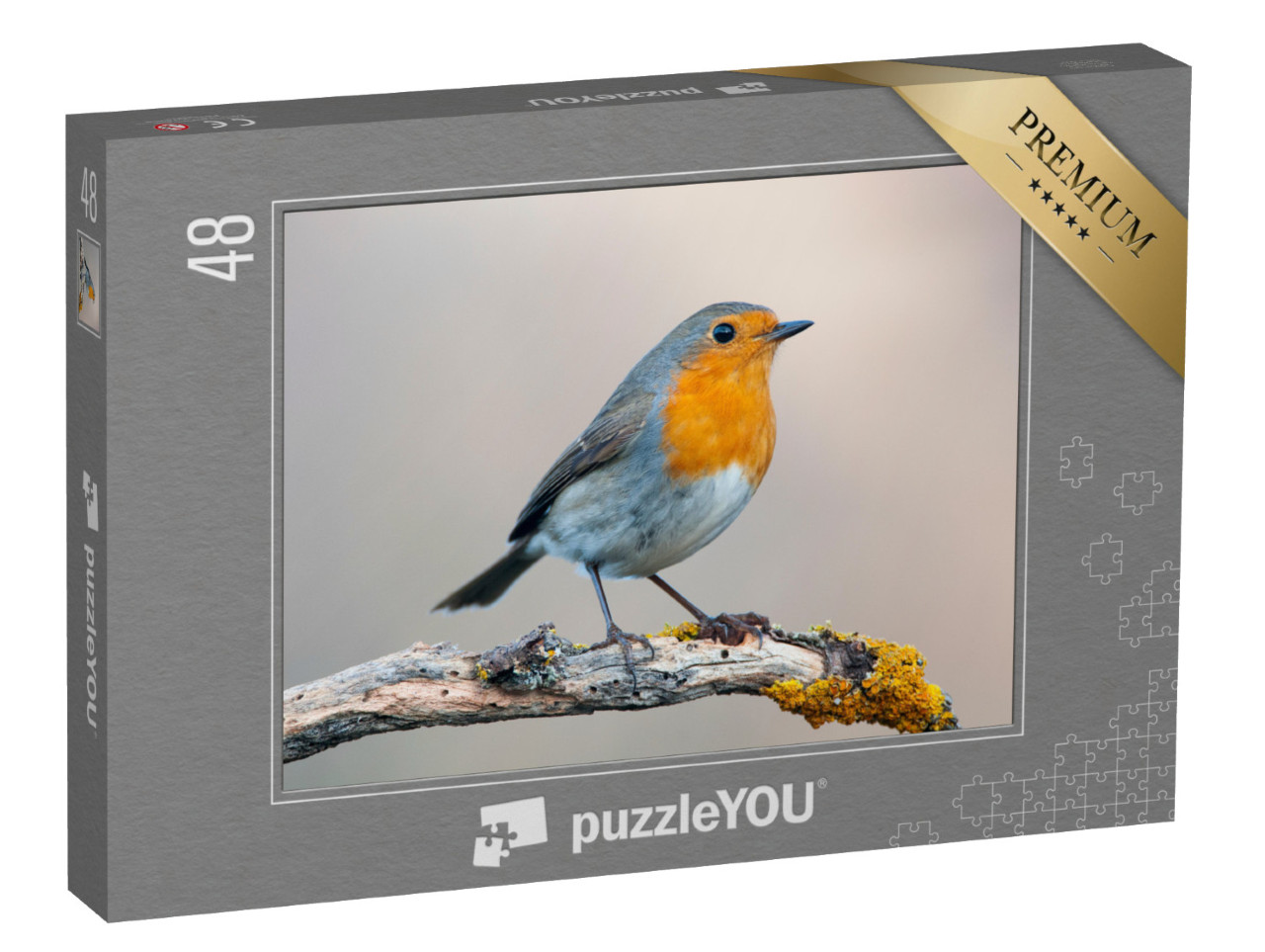 puzzle 48 dílků „Zvědavý robin“