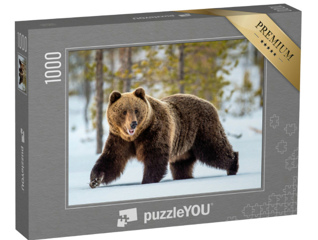 puzzle 1000 dílků „Divoký dospělý medvěd hnědý se potuluje zimním lesem“