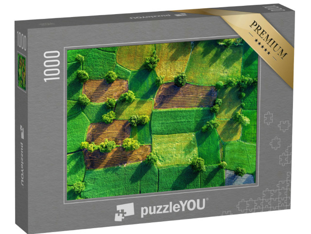 puzzle 1000 dílků „Rýžová pole v deltě Mekongu, Vietnam“