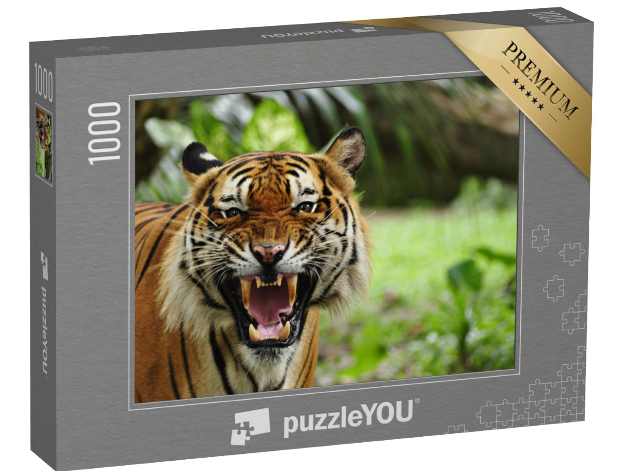 puzzle 1000 dílků „Vybělené zuby tygra“