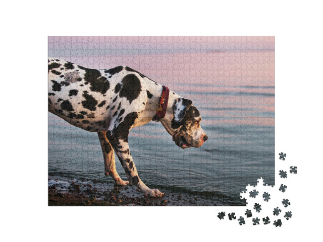 puzzle 1000 dílků „Německá doga na večerní procházce“