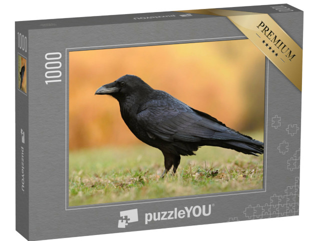 puzzle 1000 dílků „Krkavec obecný z čeledi vrabcovitých“