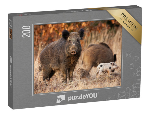 puzzle 200 dílků „Divoké prase chránící svá mláďata“