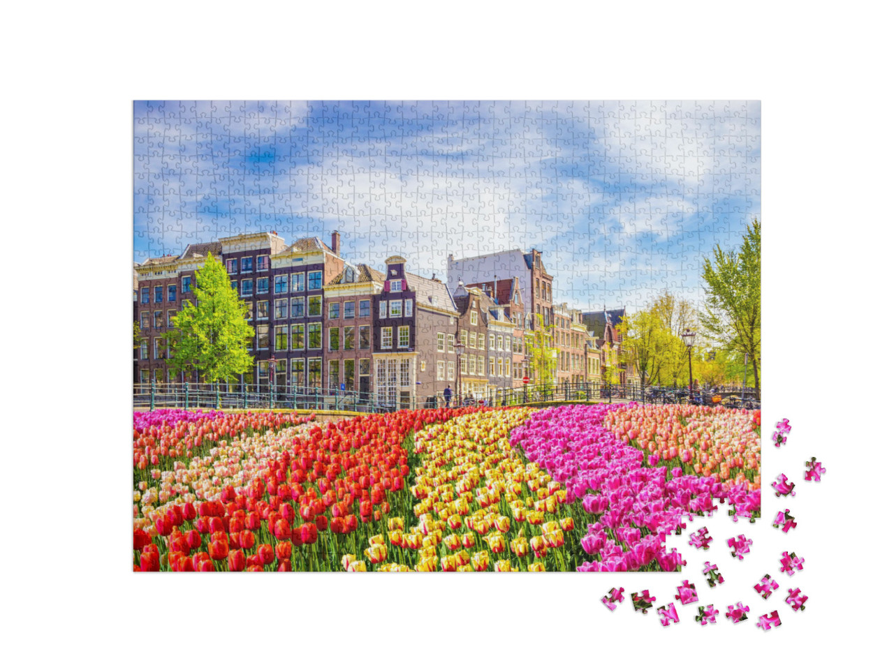 puzzle 1000 dílků „Krásné staré budovy a tulipány v Amsterdamu, Nizozemsko“