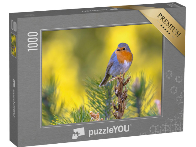 puzzle 1000 dílků „Robin na zelené větvi“