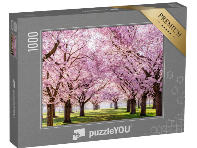 puzzle 1000 dílků „Třešňová alej Sakura v krásném parku“