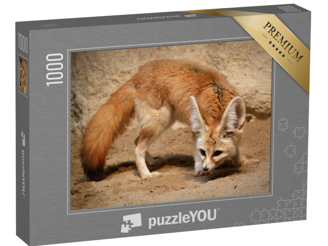 puzzle 1000 dílků „Liška obecná na lovu“