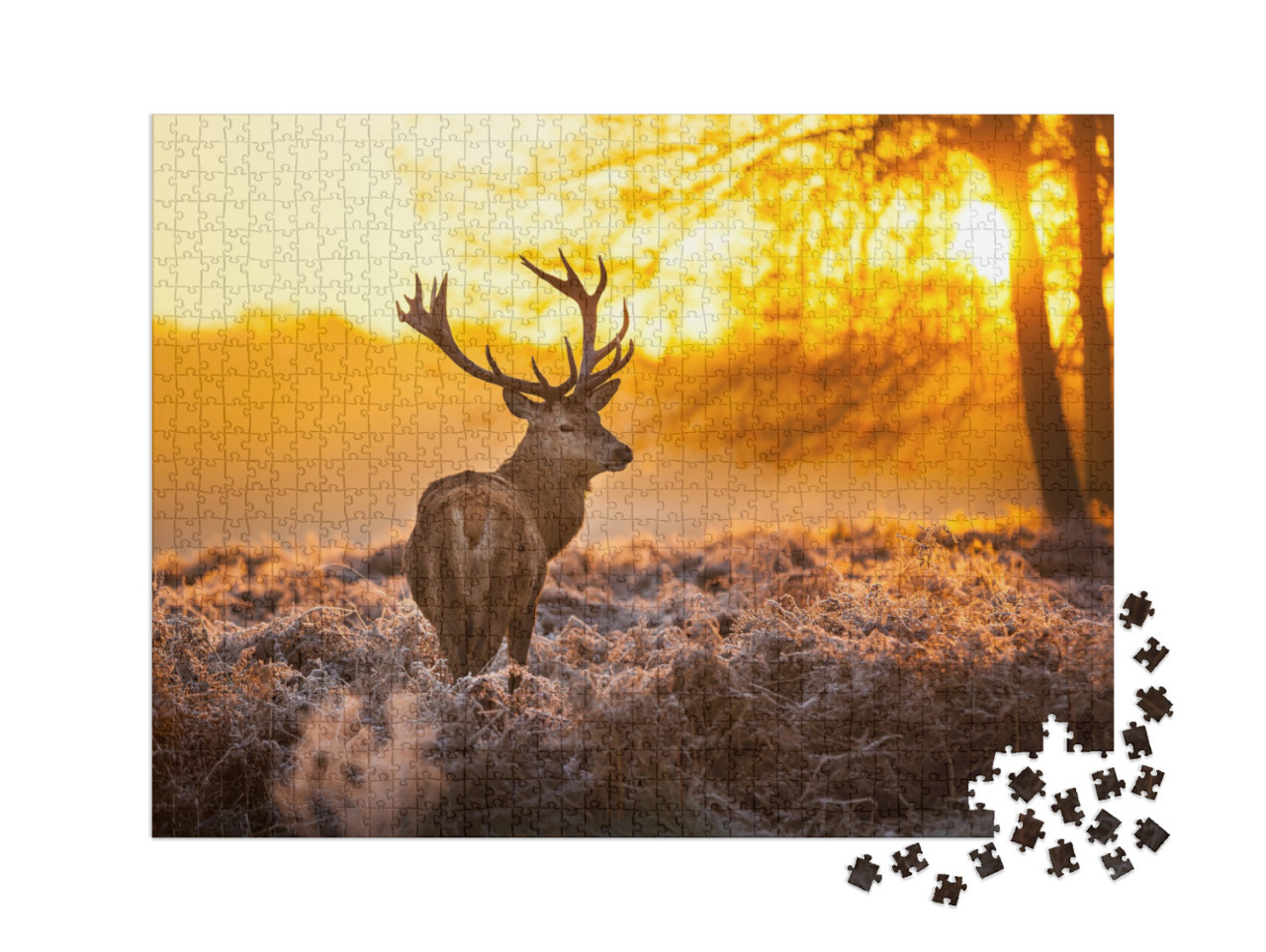 puzzle 1000 dílků XXL „Jelen v ranním slunci“