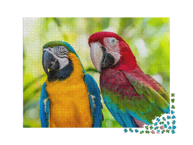 puzzle 2000 dílků „Papoušek, Macaw“