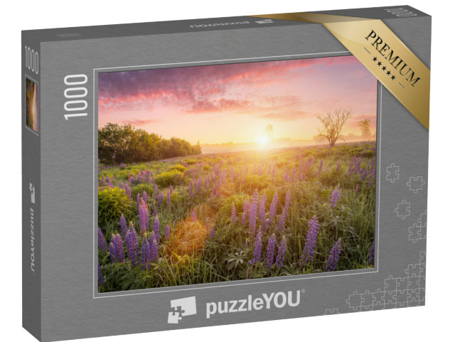 puzzle 1000 dílků „Sluneční paprsky nad loukou s kvetoucími lupinami“