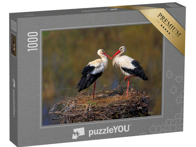 puzzle 1000 dílků „Pár čápů bílých během jarního hnízdění“
