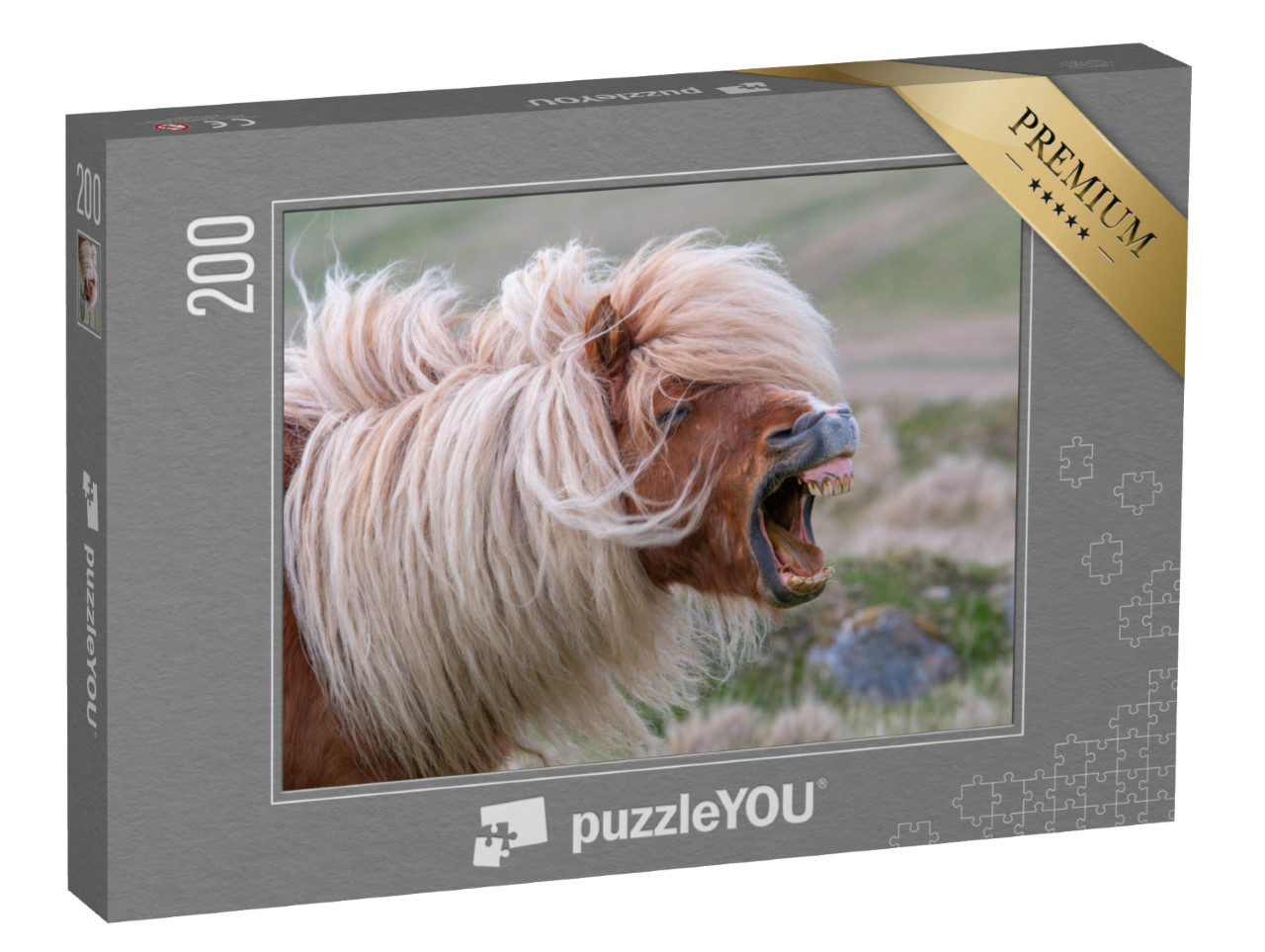 puzzle 200 dílků „Vzdychající shetlandský poník s divokou hřívou“