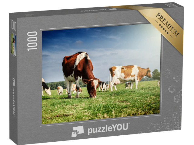 puzzle 1000 dílků „Stádo krav na letní louce“