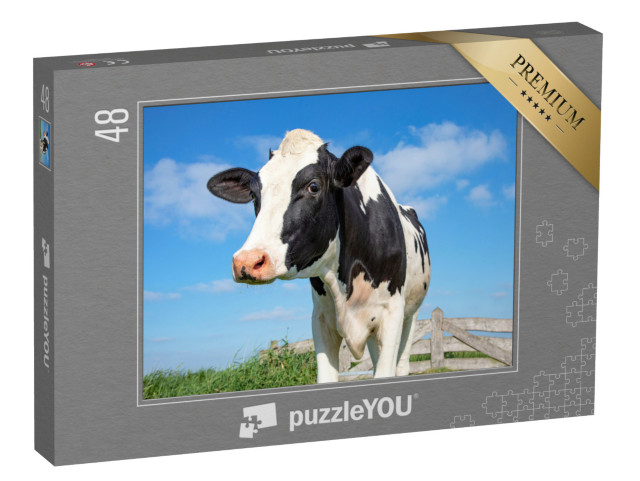 puzzle 48 dílků „Z očí do očí s krávou“