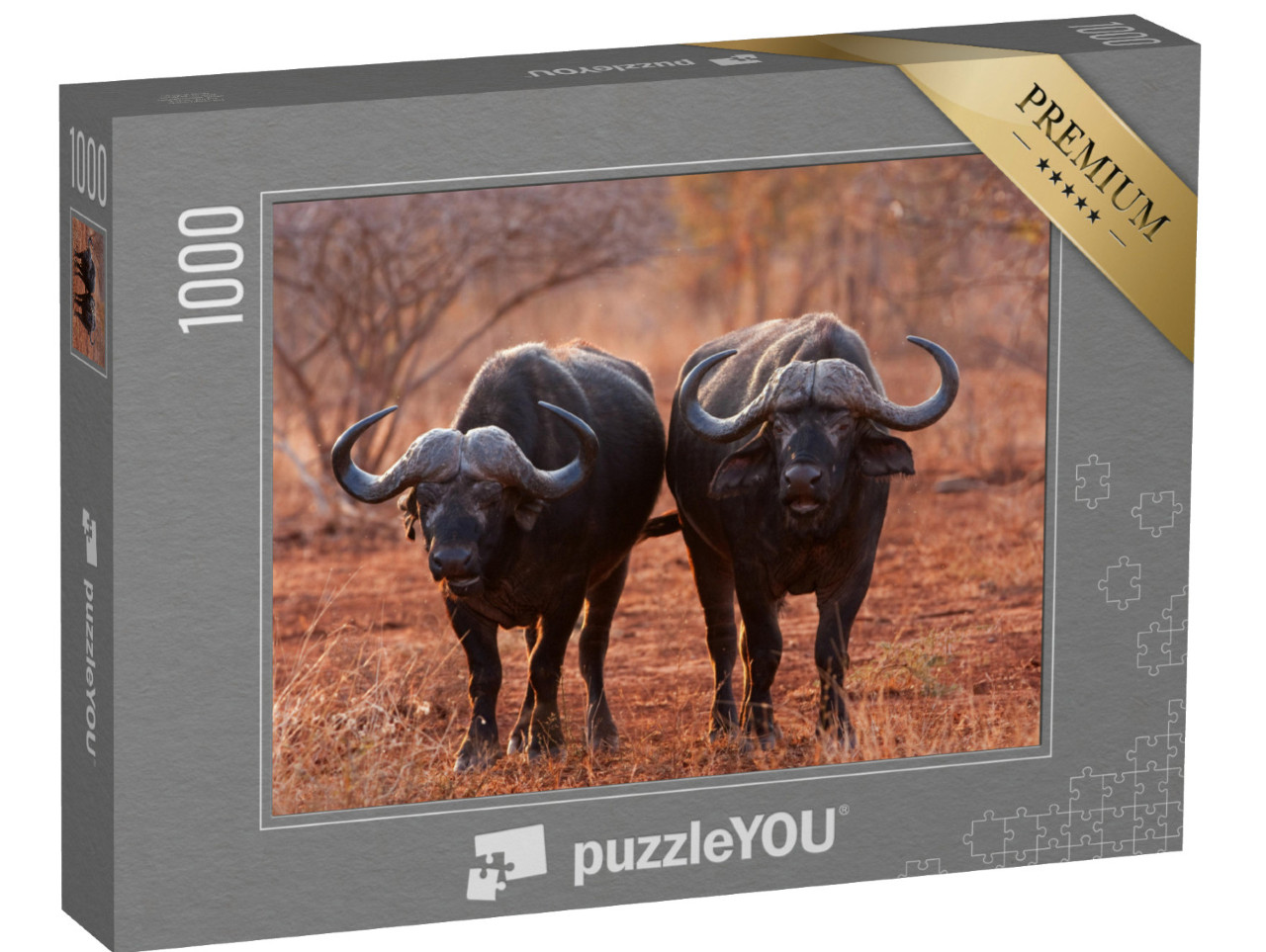 puzzle 1000 dílků „Buvol africký, buvol kapský, Krugerův národní park, Jihoafrická republika“