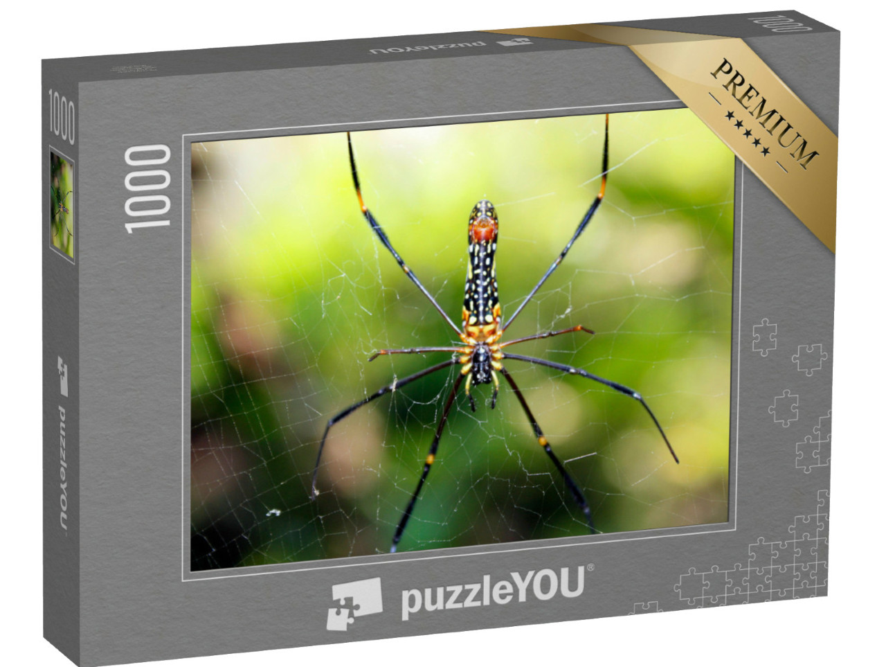 puzzle 1000 dílků „Detailní záběr pavouka černé vdovy“
