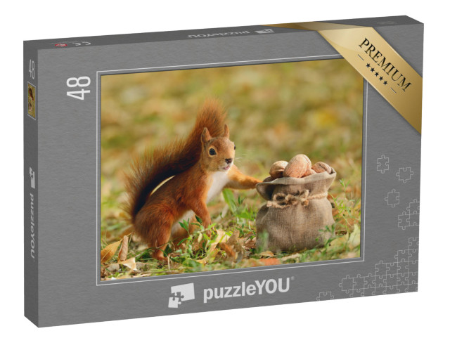 puzzle 48 dílků „Portrét veverky červené, která drží pytel ořechů“