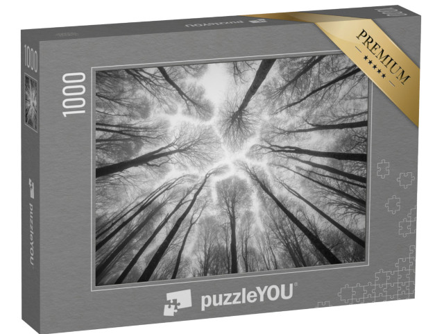 puzzle 1000 dílků „Abstraktní fotografie: Stromy tyčící se do mlhavé oblohy“