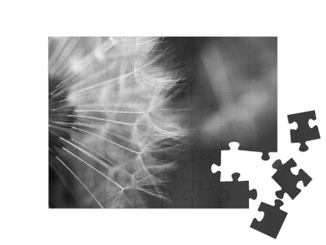 puzzle 48 dílků „Makrofotografie pampelišky“