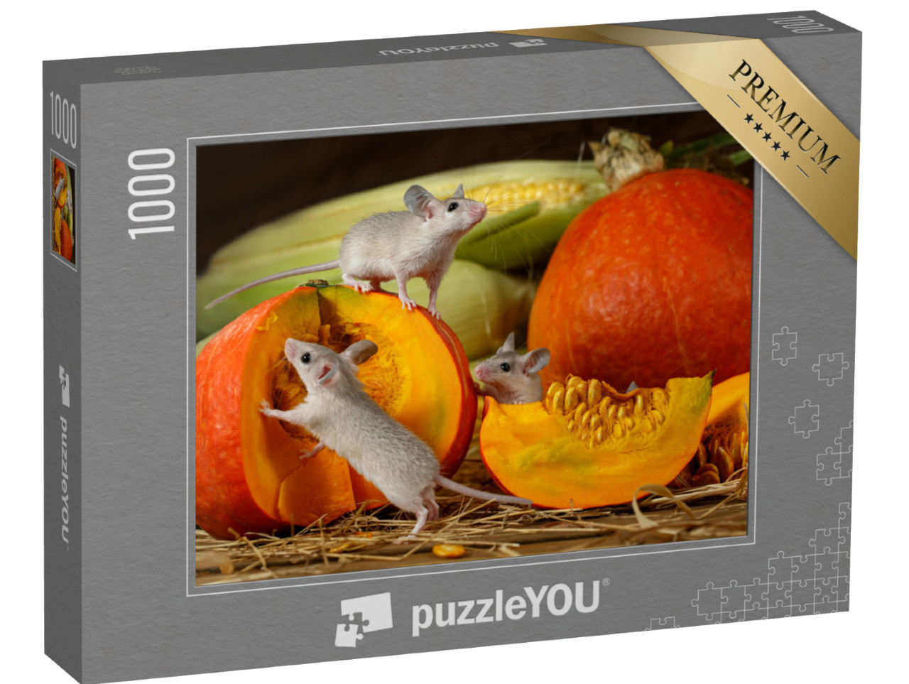 puzzle 1000 dílků „Tři mladé myši zkoumají sklizené dýně“