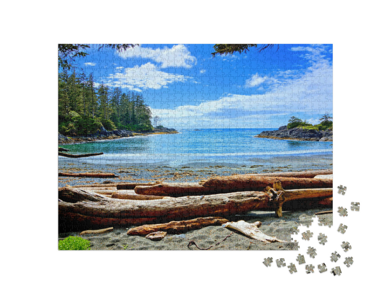 puzzle 1000 dílků „Pobřeží národního parku Pacific Rim, ostrov Vancouver, Kanada“