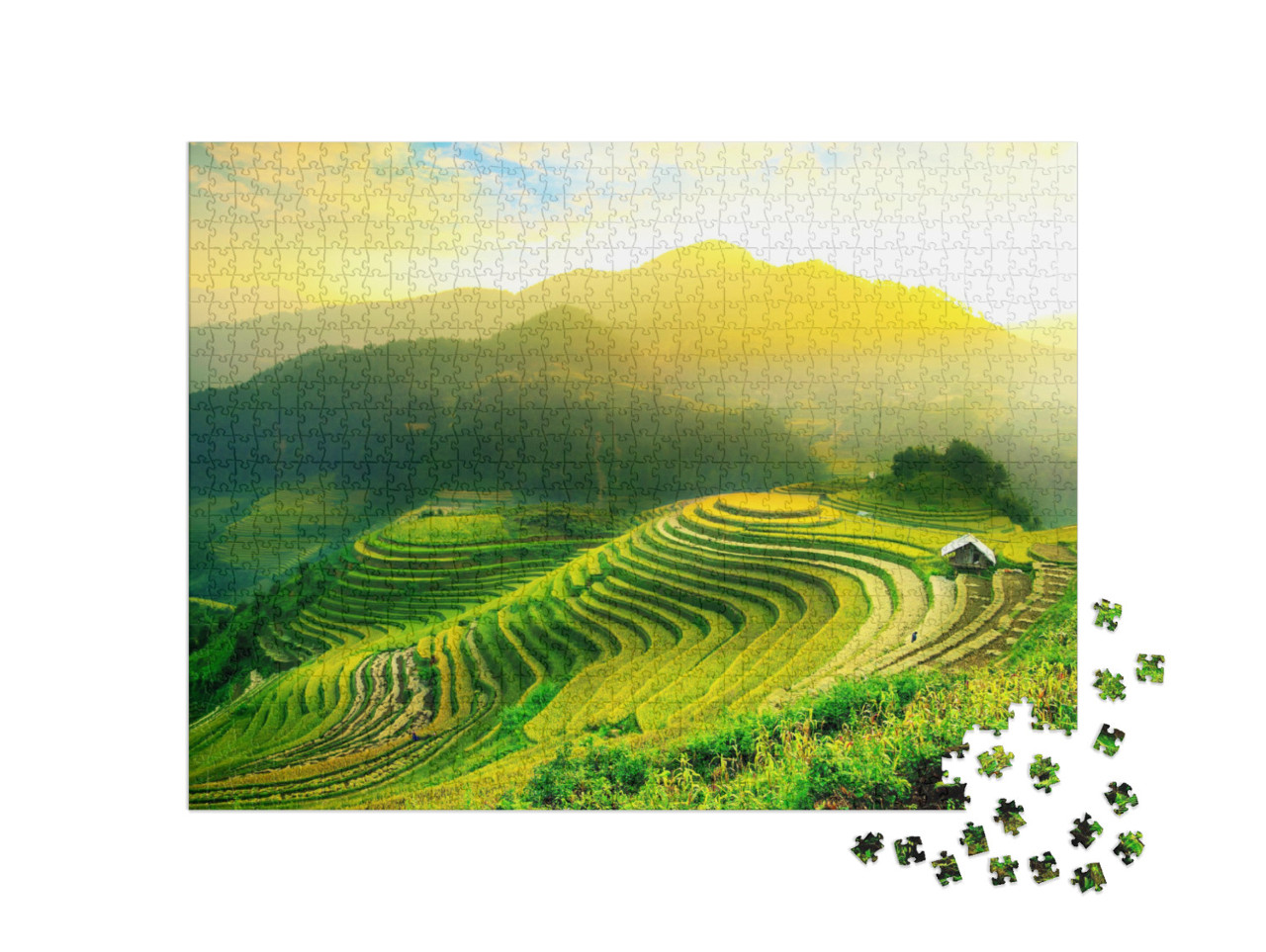 puzzle 1000 dílků „Rýžová pole na terasách Mu Cang Chai, Vietnam“
