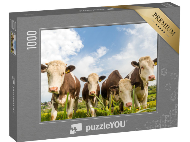 puzzle 1000 dílků „Čtyři mladé krávy na pastvině v Anglii“