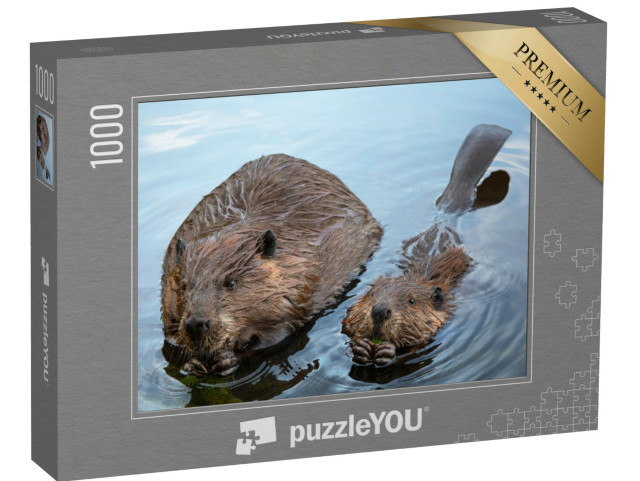 puzzle 1000 dílků „Bobří máma a bobří mládě žvýkající větve“