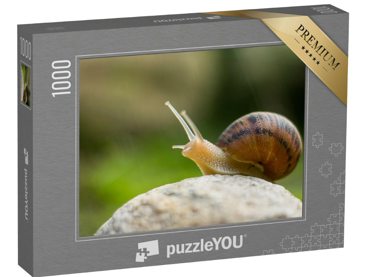 puzzle 1000 dílků „Zvědavý malý šnek z vinice“