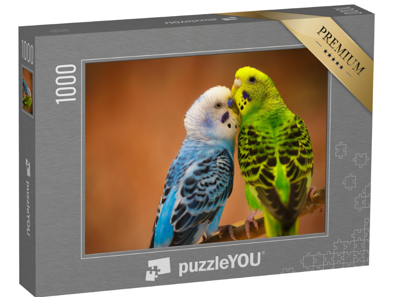 puzzle 1000 dílků „Modrobílý a zelený budgerigar na větvi“