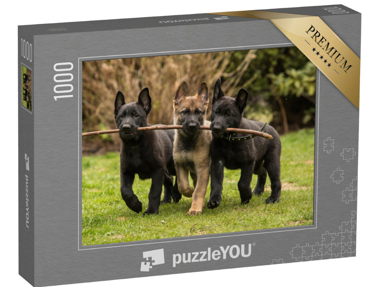 puzzle 1000 dílků „Tři ovčácká štěňata přinášejí hůl“