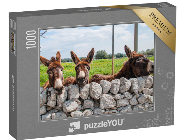 puzzle 1000 dílků „Osli hledící skrz kamennou zeď, Modica“