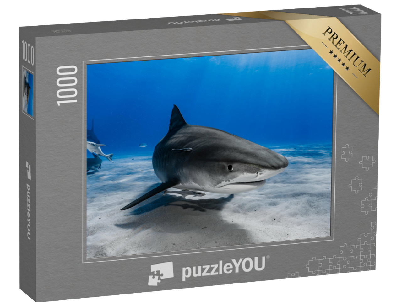 puzzle 1000 dílků „Žralok tygří plave po útesu“