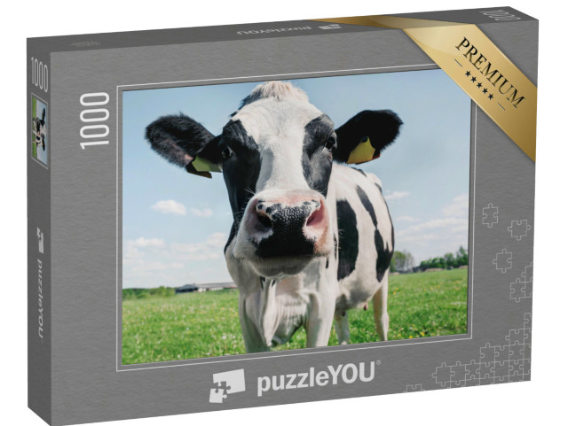 puzzle 1000 dílků „Detailní záběr černobílé krávy“