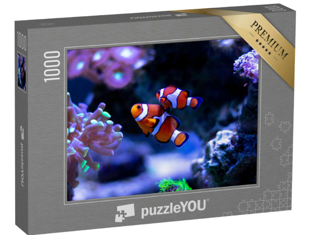 puzzle 1000 dílků „Klauni plavou v akváriu“