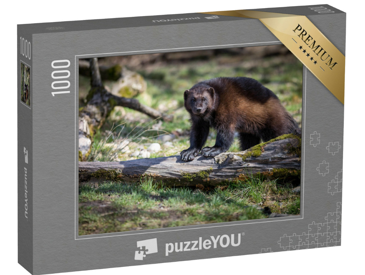 puzzle 1000 dílků „Rosomák na padlém stromě“