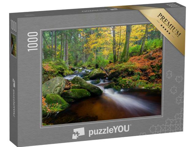 puzzle 1000 dílků „Vodopád v Braunlage na podzim, dlouhá expozice, Německo“
