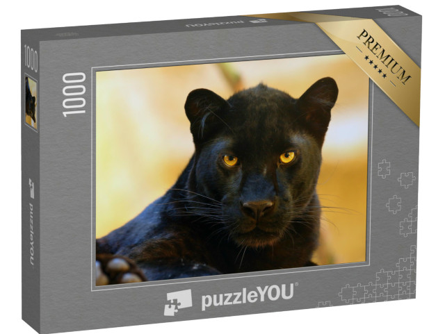 puzzle 1000 dílků „Z očí do očí s černým panterem“
