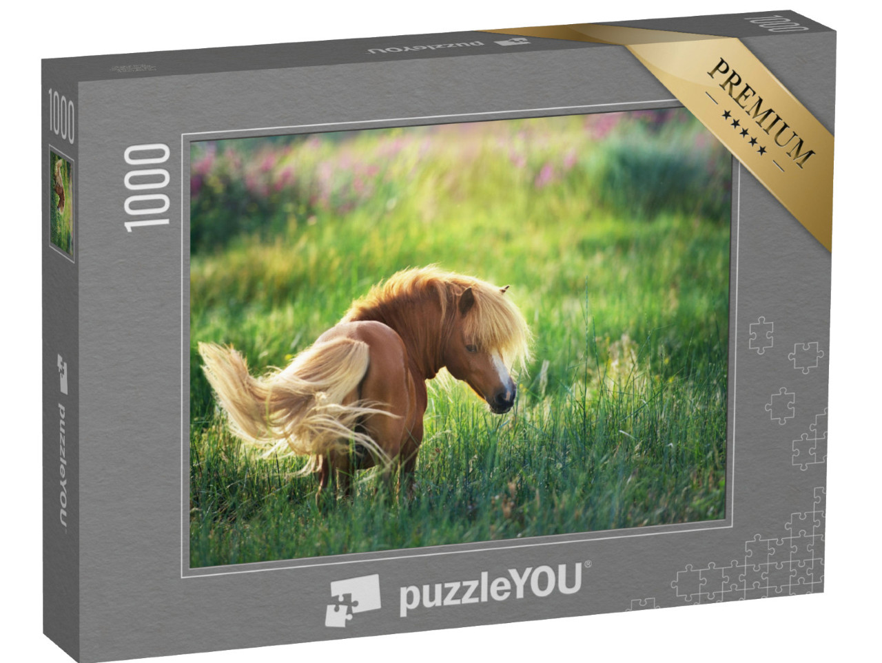 puzzle 1000 dílků „Shetlandský poník na zelené letní pastvině“