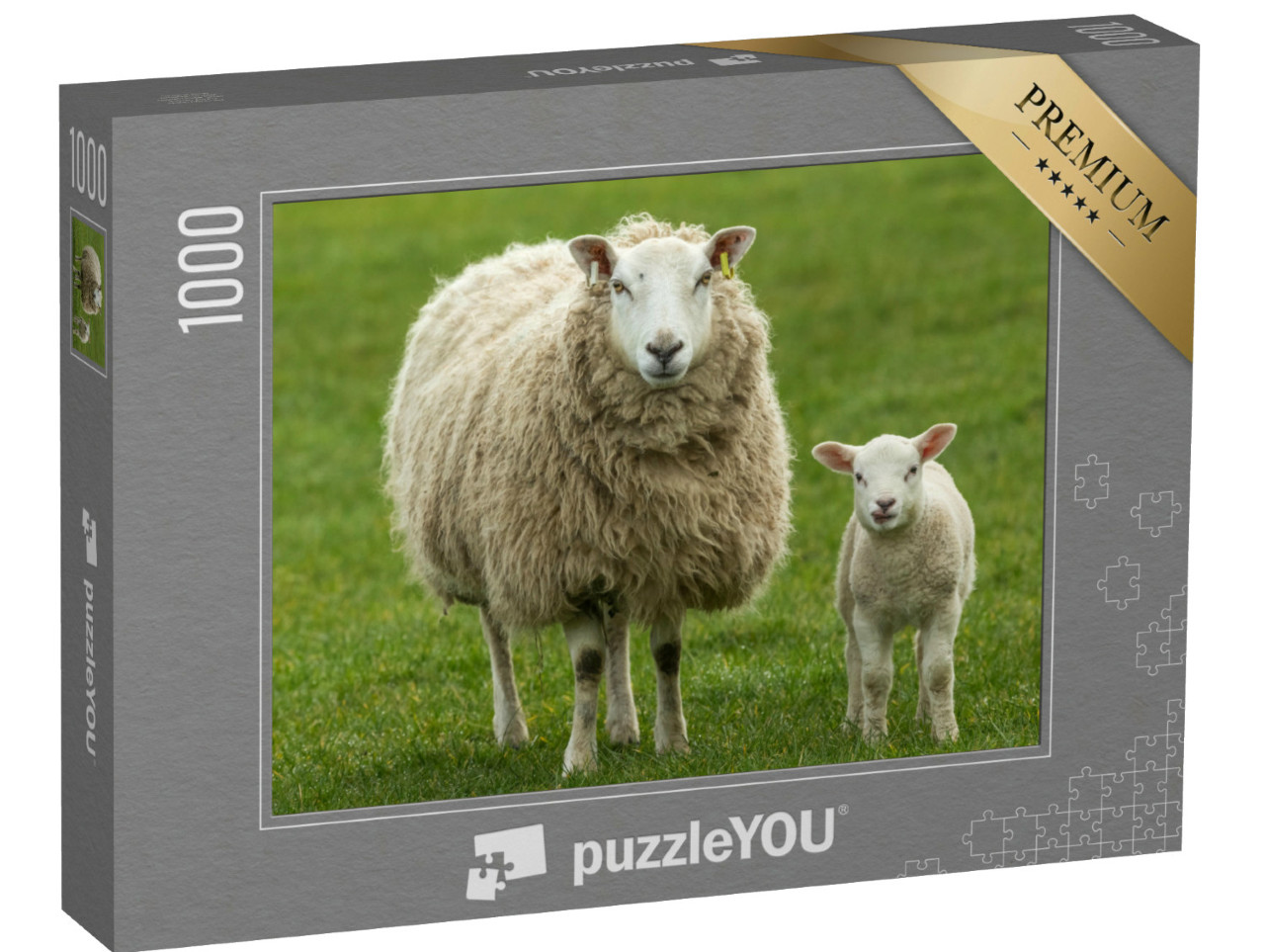 puzzle 1000 dílků „Ovce s jehňátkem“