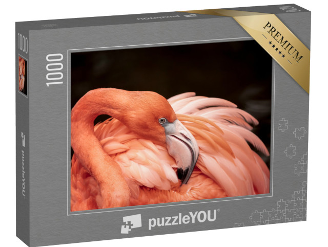 puzzle 1000 dílků „Portrét růžového plameňáka“