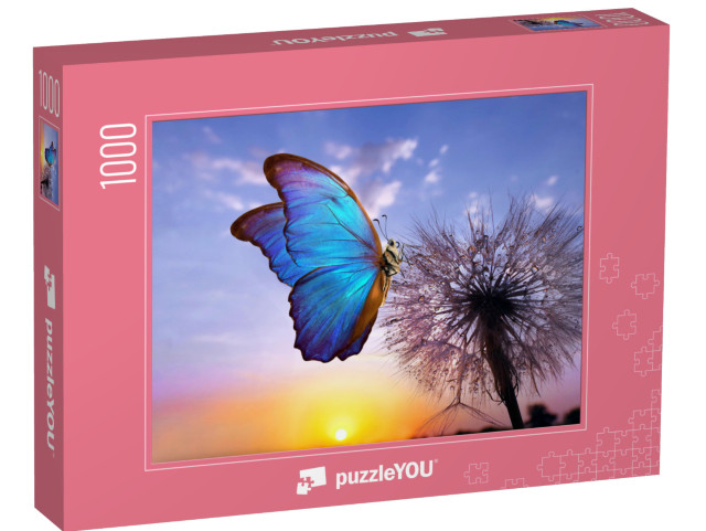 puzzle 1000 dílků „Motýl modrásek morfový na pampelišce“