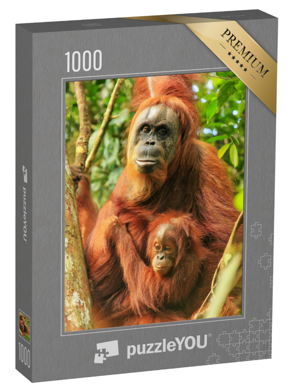 puzzle 1000 dílků „Samice orangutana sumaterského s mládětem, Indonésie“