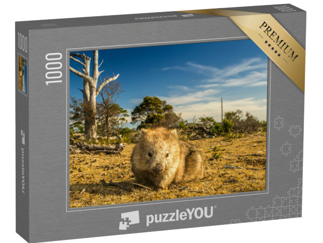 puzzle 1000 dílků „Pastva vombatů v tasmánsko-australské buši“